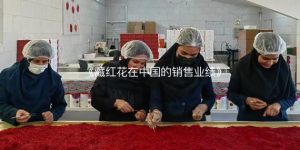 《藏红花在中国的销售业绩》