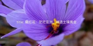 title-藏红花：茫茫亚洲，缔造土壤黄金