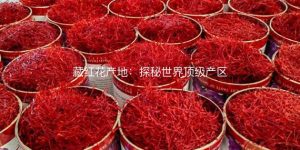 藏红花产地：探秘世界顶级产区