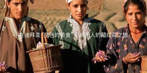 在迪拜卖金色的美食：郑州人的藏红花之旅
