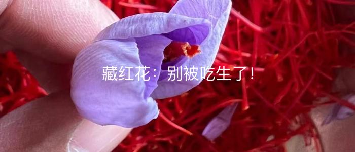 藏红花：别被吃生了！