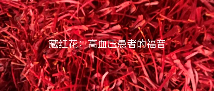 藏红花：高血压患者的福音